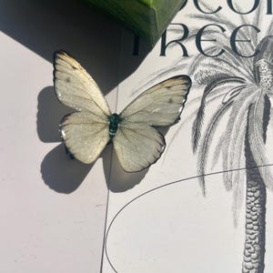 Pieris Rapae Butterfly Hair Clip