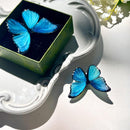 Blue Morpho Butterfly Hair Clip