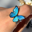 Cute Butterfly Wings Rings