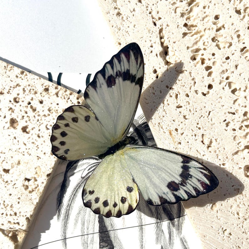 Belenois Subeida Butterfly Hair Clip