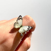 Cute Butterfly Wings Rings
